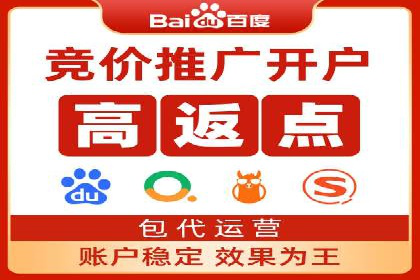 竞价代运营成功案例解析